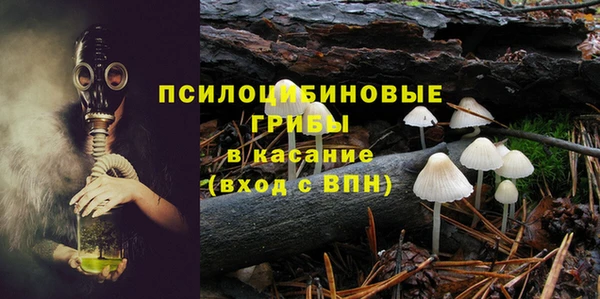 бошки Заволжье