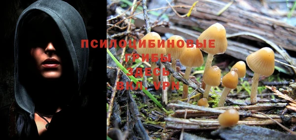 бошки Заволжье