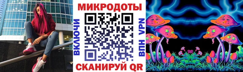 Купить закладки Каргополь Галлюциногенные грибы GOLDEN TEACHER